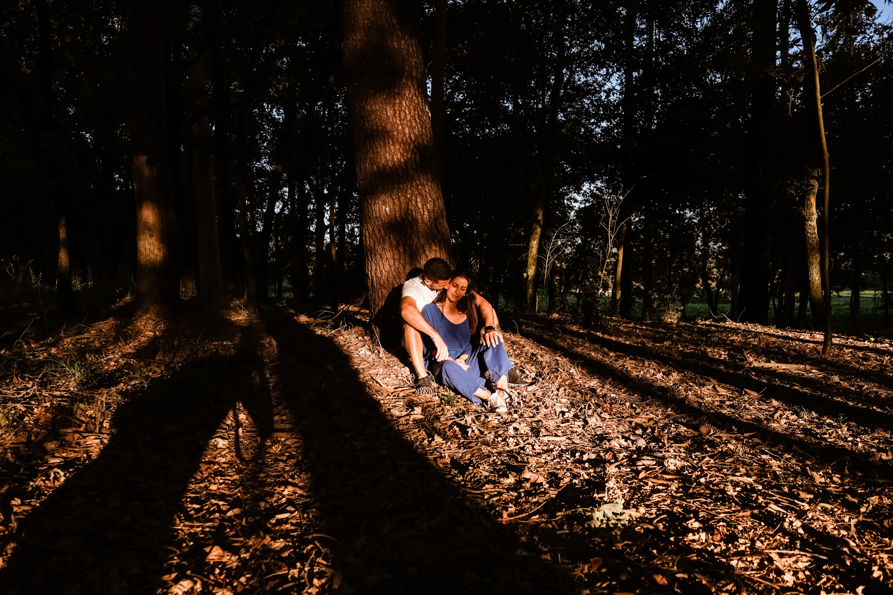 Photograph 7